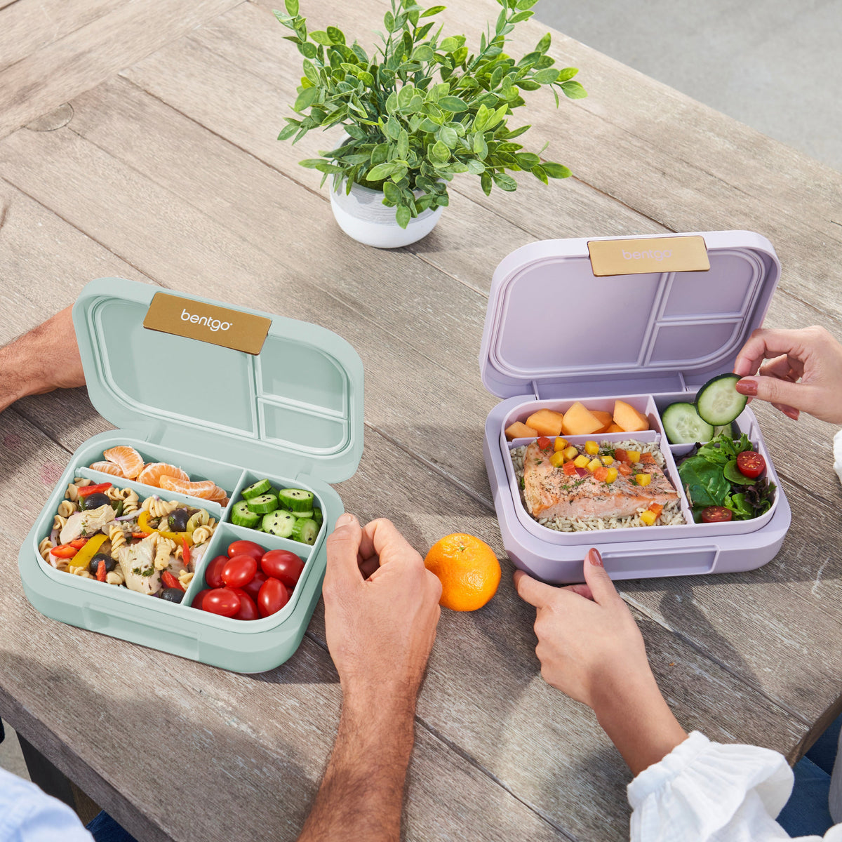 bentgo-modern-lunch-box-2-pack-h6 COSTCOBMCPRODUCTIMAGE_2.jpg